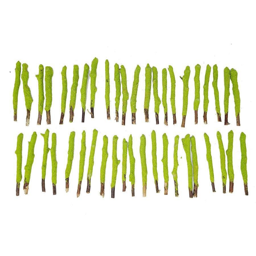 4&quot; Apple Cinnamon Dipped Natural Sage Tree Branch Sticks (5 Pack), SKU K05-NSDIP-AC-D50, UPC 700317…