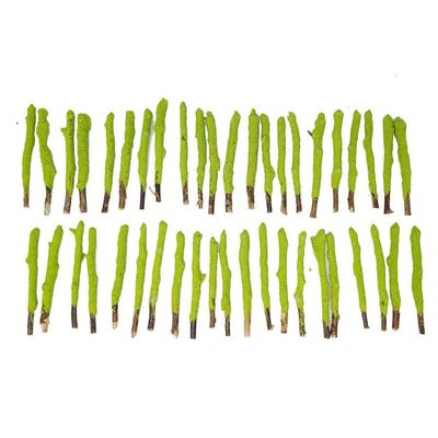 4&quot; Apple Cinnamon Dipped Natural Sage Tree Branch Sticks (5 Pack), SKU K05-NSDIP-AC-D50, UPC 700317…
