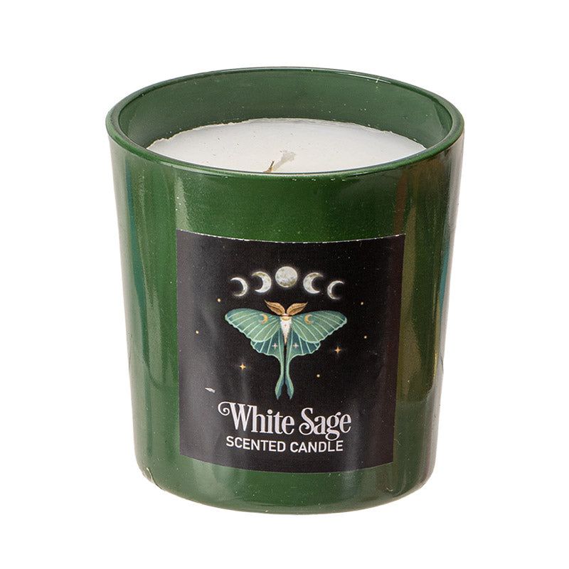 Dark Forest Luna Moth White Sage Candle, SKU PG-15449, UPC 700317355779