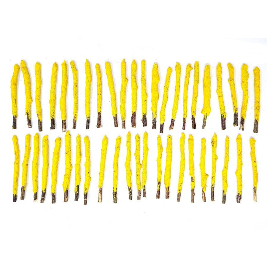 4&quot; Cinnamon Dipped Natural Sage Tree Branch Sticks (5 Pack), SKU K05-NSDIP-CI-D50, UPC 700317412434