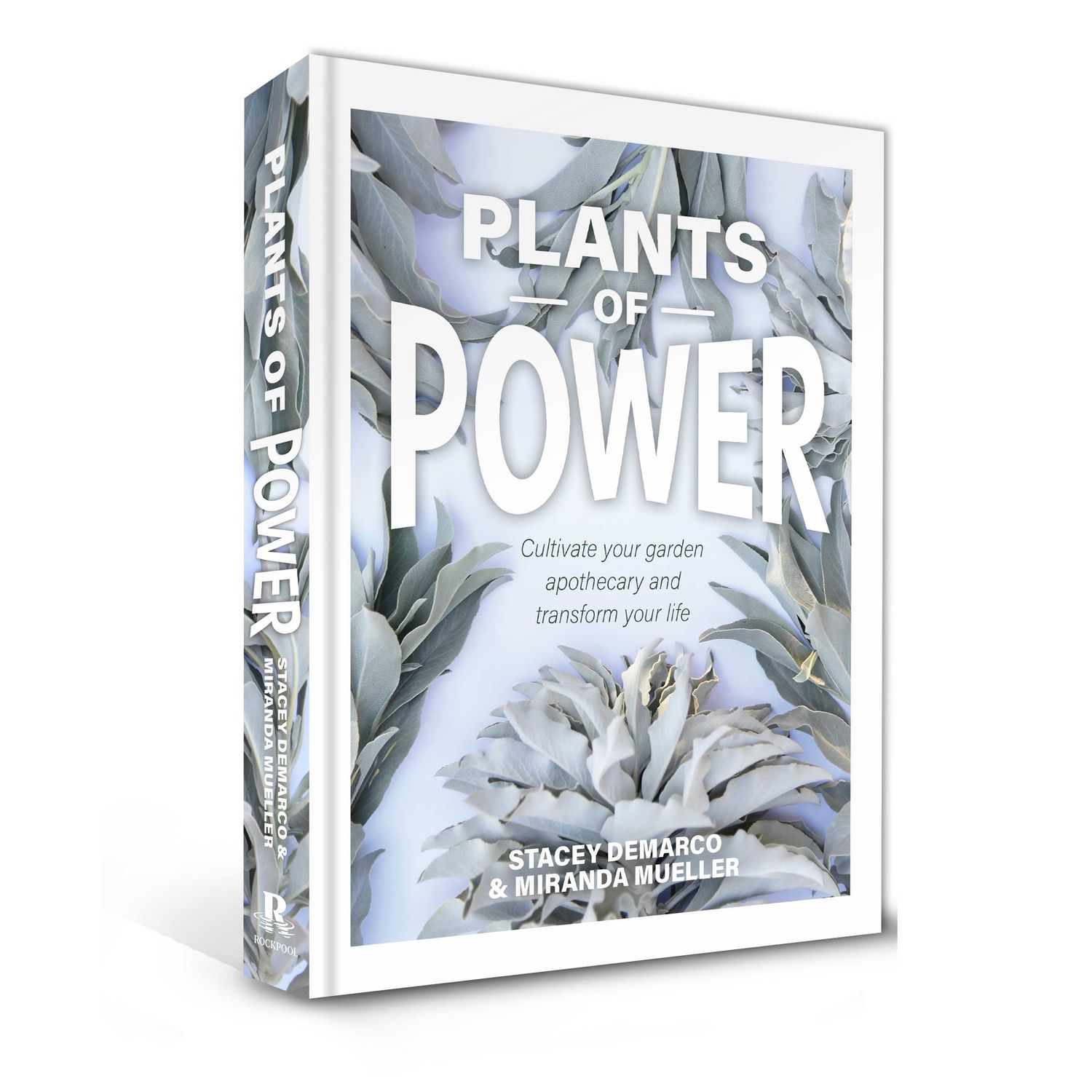 Plants of Power (Hardcover) by Stacey Demarco, Miranda Mueller, SKU RP-145, UPC 700317030843