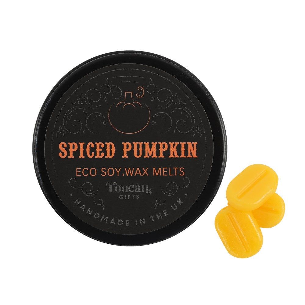Eco Soy Wax Melts - Pumpkin Spice (12 Melts), SKU PG-14118, UPC 700317015413