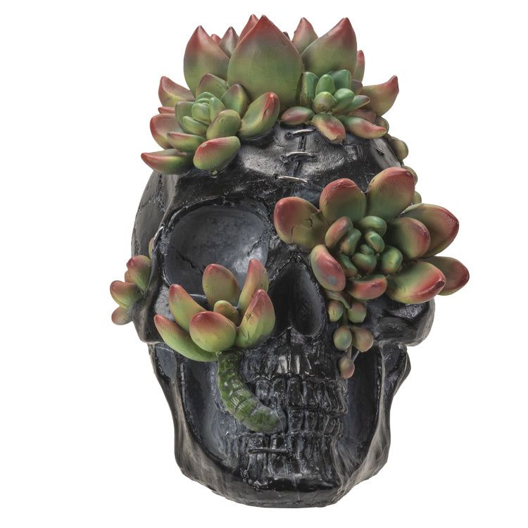 7.8&quot; Black Skull with Succulents Statue, SKU PG-15060, UPC 700317076940