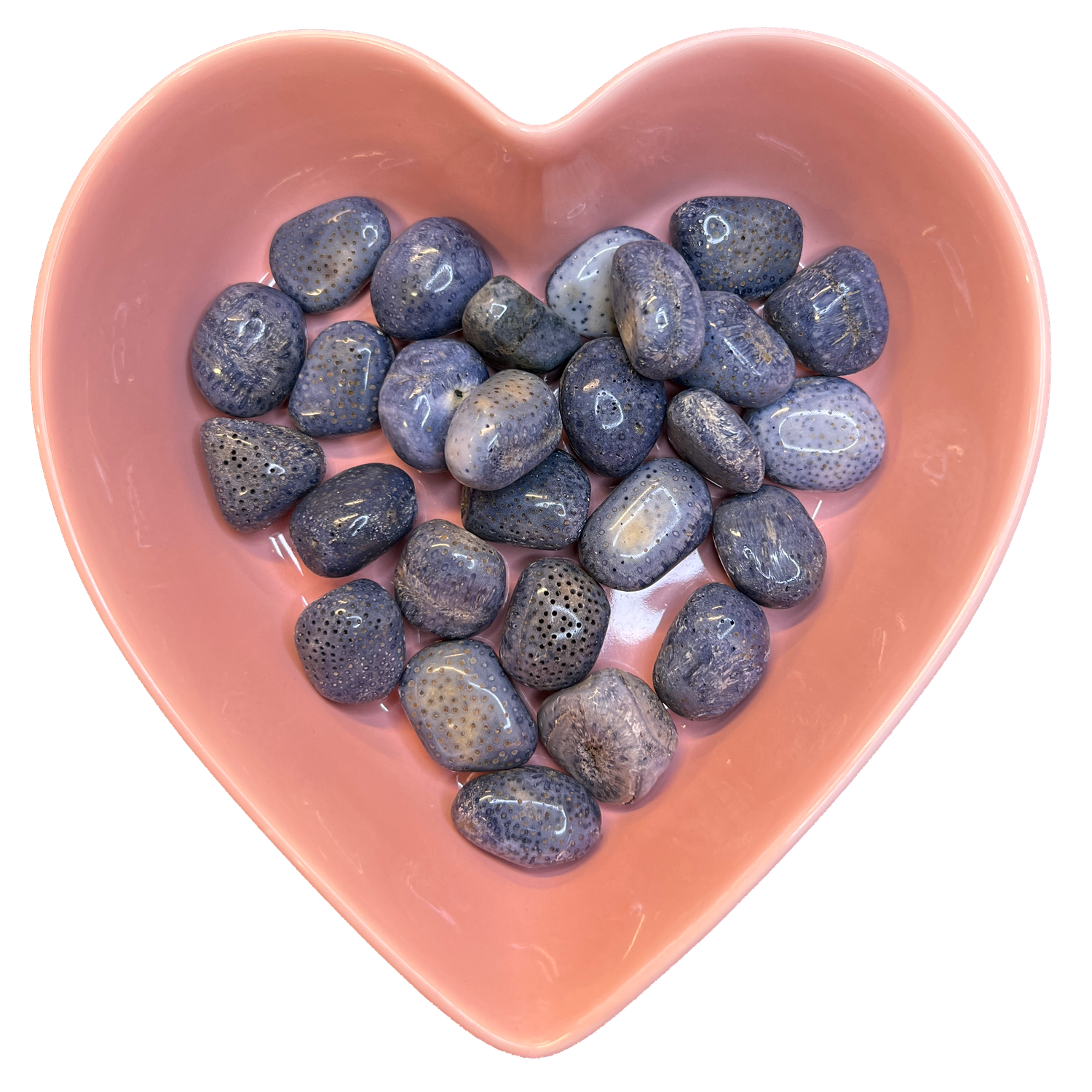 Blue Coral Tumbled Stone Natural Gemstone - One Stone, SKU TR-135, UPC 6016004749795