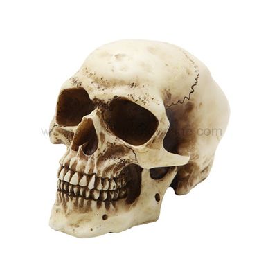 4.5&quot; Skull Statue, SKU PG-8848, UPC 700317072836