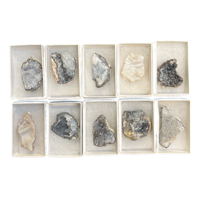 1-3&quot; Trancas Geode, SKU DR-GBMTG, UPC 700317022824