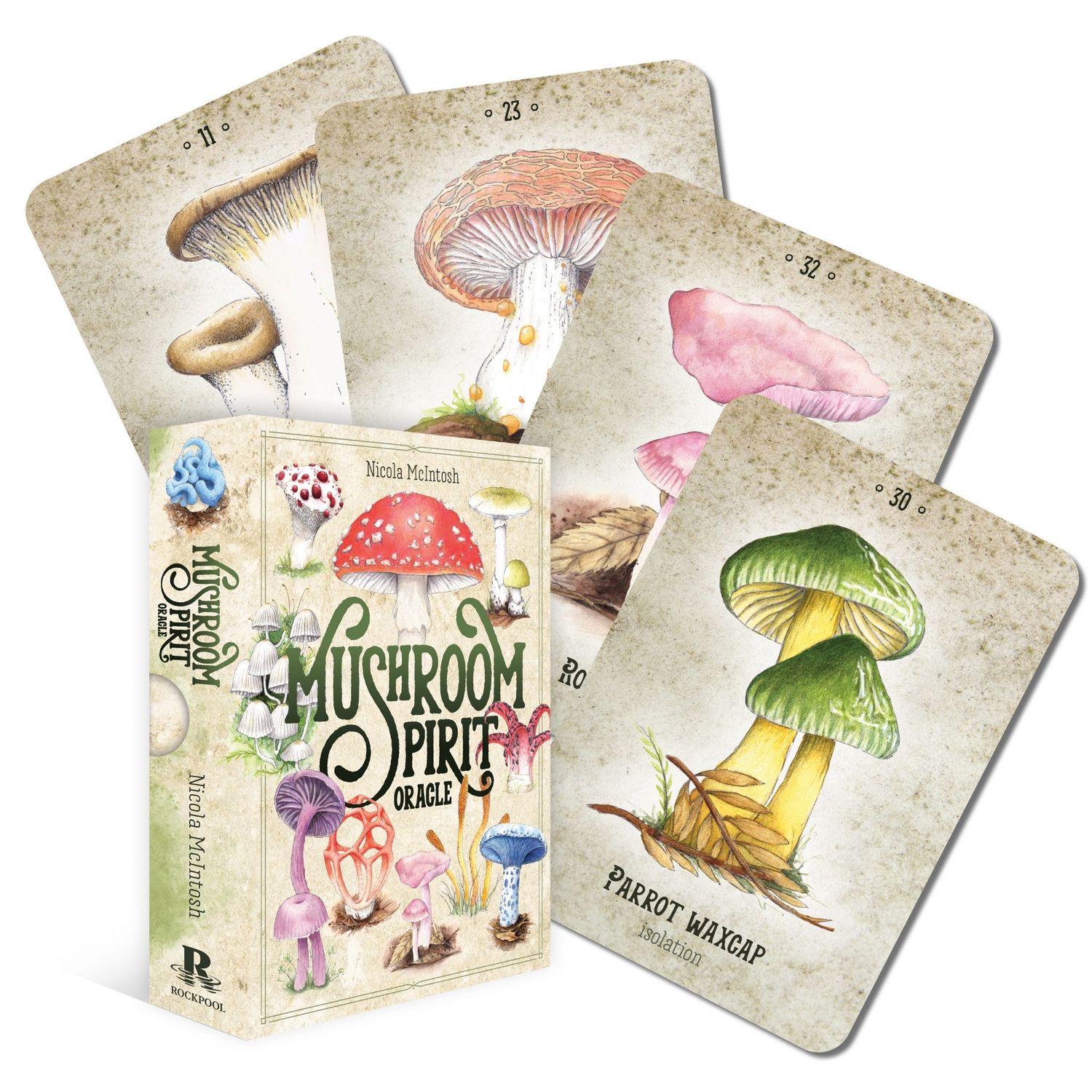 Mushroom Spirit Oracle by Nicola McIntosh, SKU RP-126, UPC 700317247142