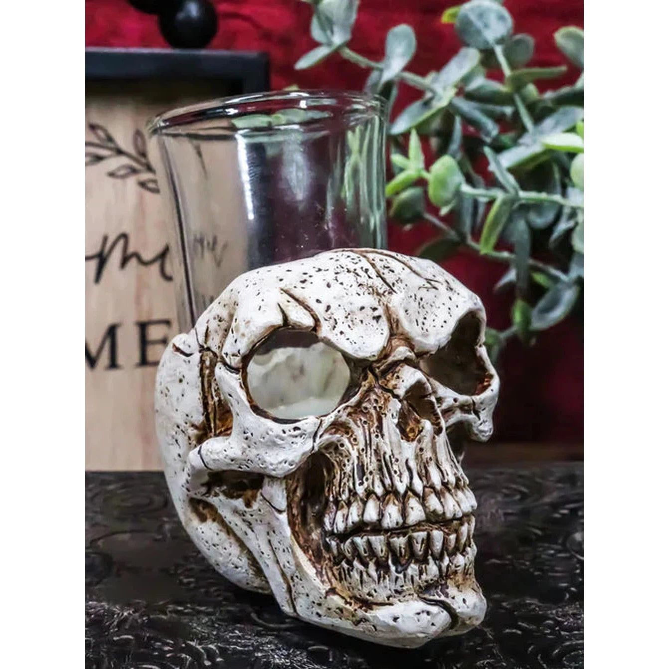 3&quot; Resin and Glass Skull Shot Glass, SKU PG-11531, UPC 700317071808