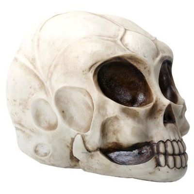 8.5&quot; Alien Skull Statue, SKU PG-Y8391, UPC 700317073932