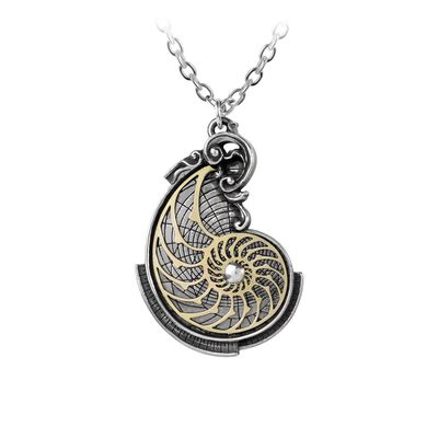 Fibonacci&#39;s Golden Spiral Pendant, SKU AL-P799, UPC 700317060093