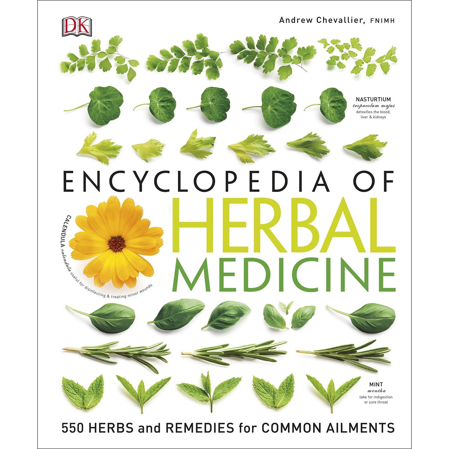 Encyclopedia of Herbal Medicine: 550 Herbs and Remedies for Common Ailments (Hardcover) by Andrew C…