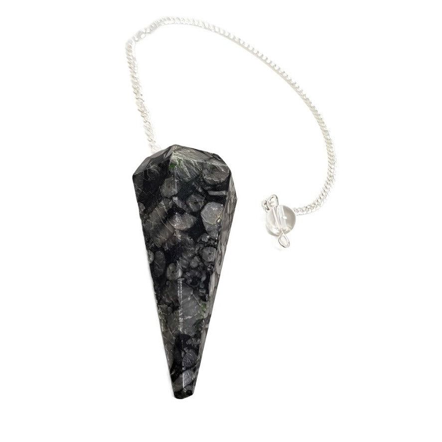 6-Sided Pendulum - Black Coral Fossil, SKU PEND-77, UPC 6016010161192