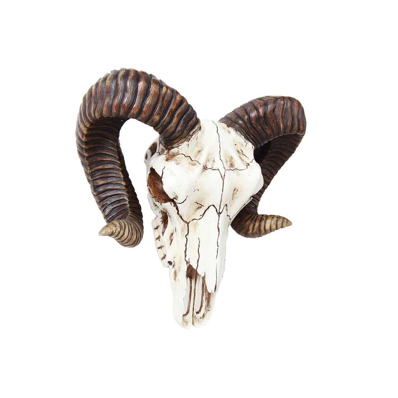 11&quot; Ram Skull Statue, SKU PG-12237, UPC 700317072010