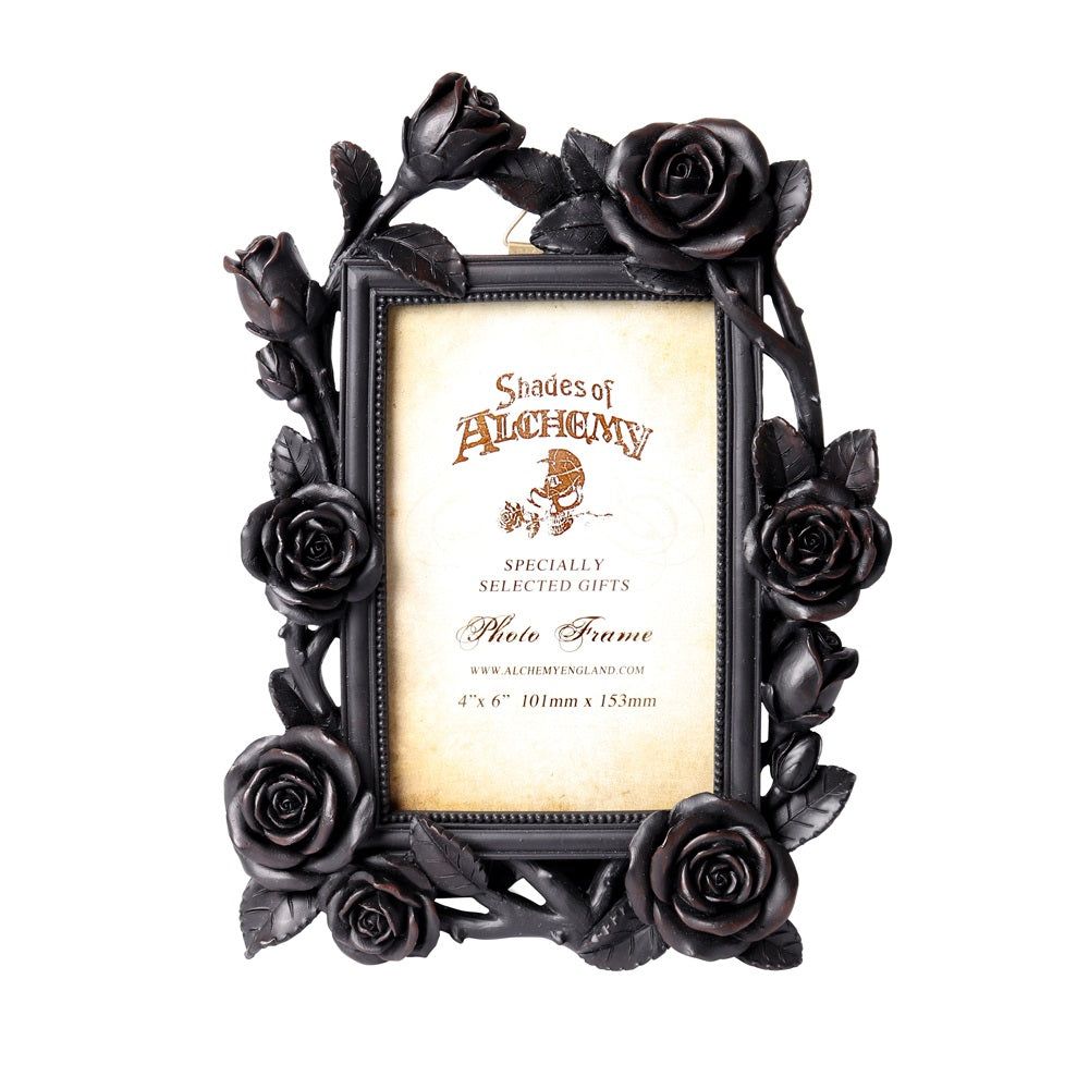 4&quot; x 6&quot; Rose &amp; Vine Photo Frame, SKU AL-SA17, UPC 700317064619