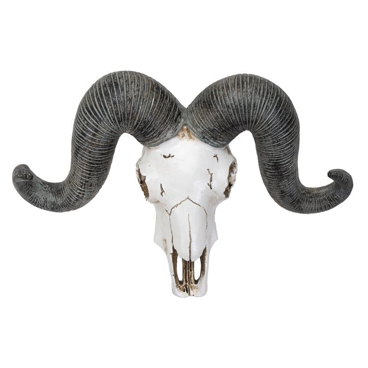 13&quot; Ram Skull Statue, SKU PG-14239, UPC 700317072676
