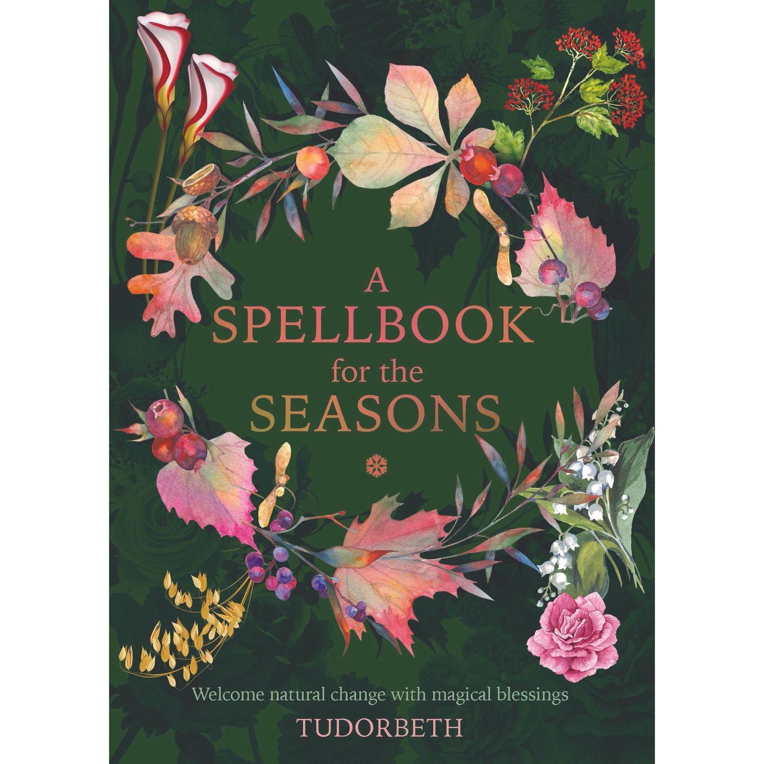 A Spellbook for the Seasons (Hardcover) by Tudorbeth, SKU R8, UPC 6016206559581
