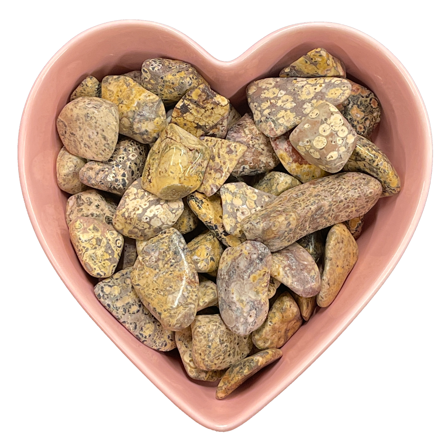 Leopard Skin Jasper Tumbled Stone Natural Gemstone - One Stone, SKU TR-173, UPC 6016007734774
