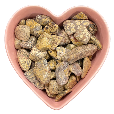 Leopard Skin Jasper Tumbled Stone Natural Gemstone - One Stone, SKU TR-173, UPC 6016007734774