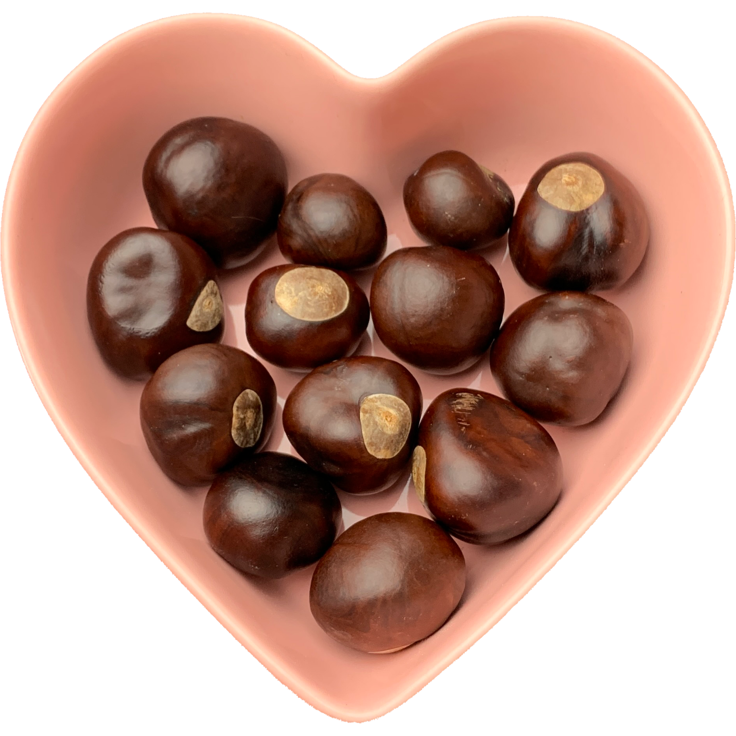 Buckeyes Whole 1 oz (Aesculus), SKU Herb-821, UPC 6016203447430