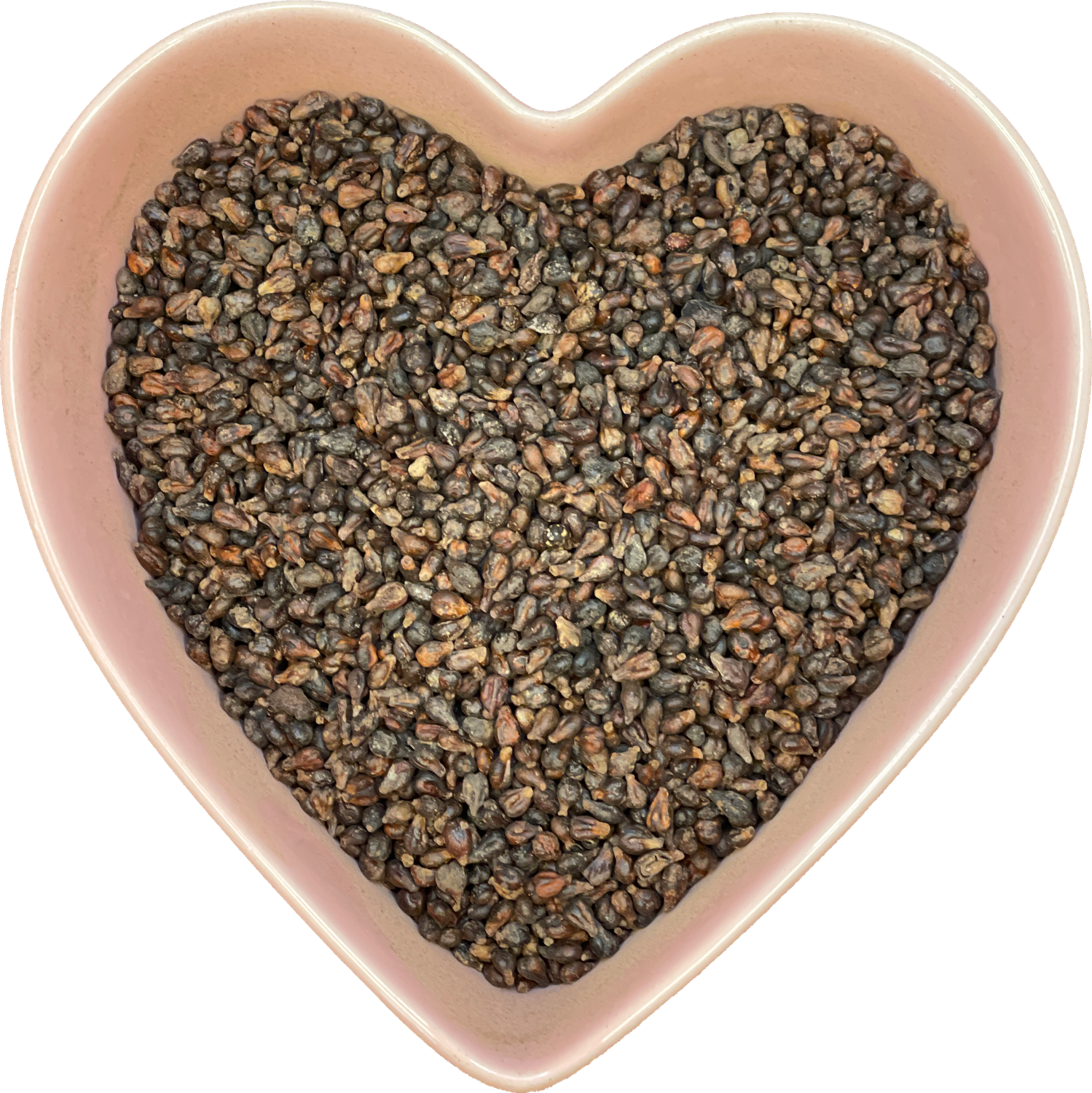 Grape Seed Whole 1 oz (Vitis vinifera), SKU Herb-48, UPC 6016004941953