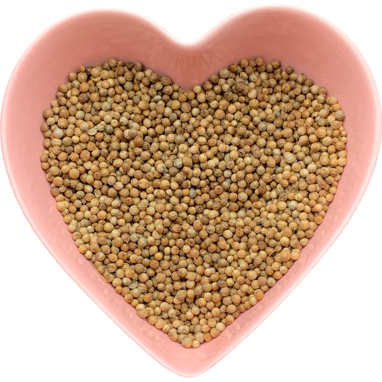Coriander Seed Whole 1 oz (Coriandrum sativum), SKU Herb-446, UPC 6016226739741
