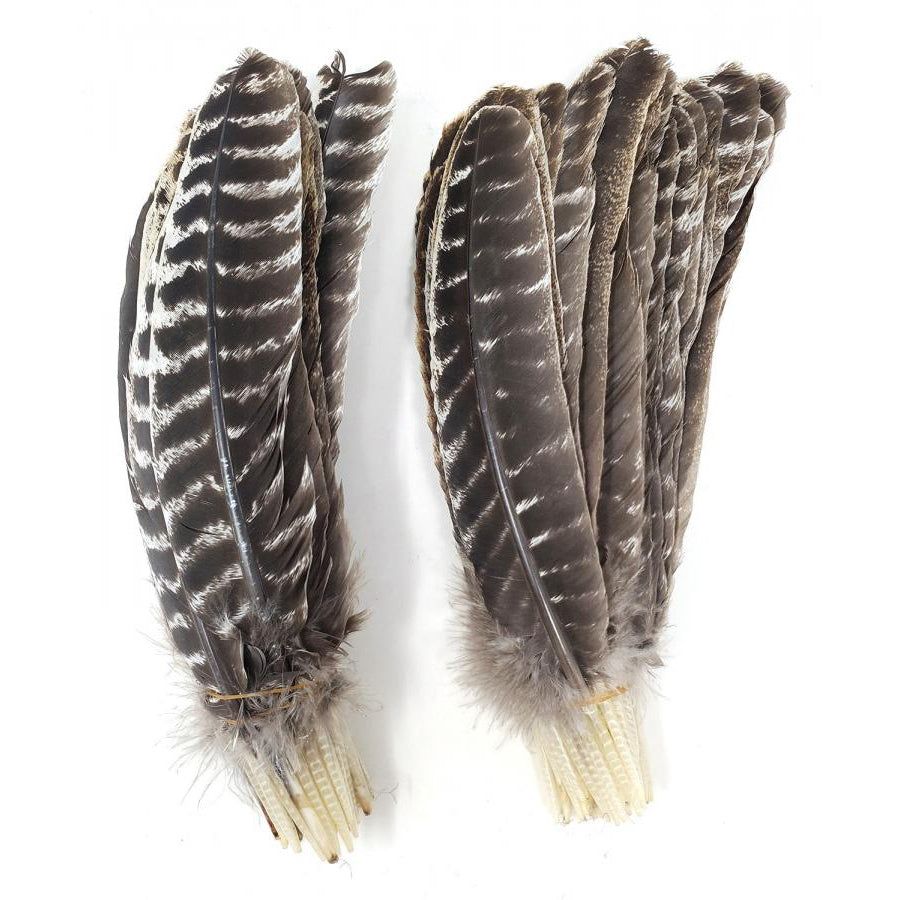 8-14&quot; Turkey Barred Feather, SKU TZB, UPC 6016201841834