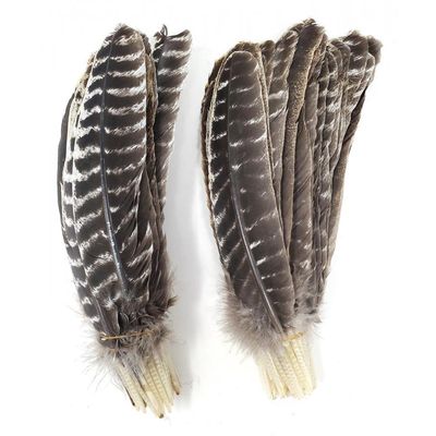 8-14&quot; Turkey Barred Feather, SKU TZB, UPC 6016201841834