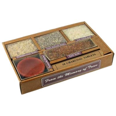 Resin Starter Kit Gift Pack with Burner and Charcoal, SKU MOT, UPC 6016214169185