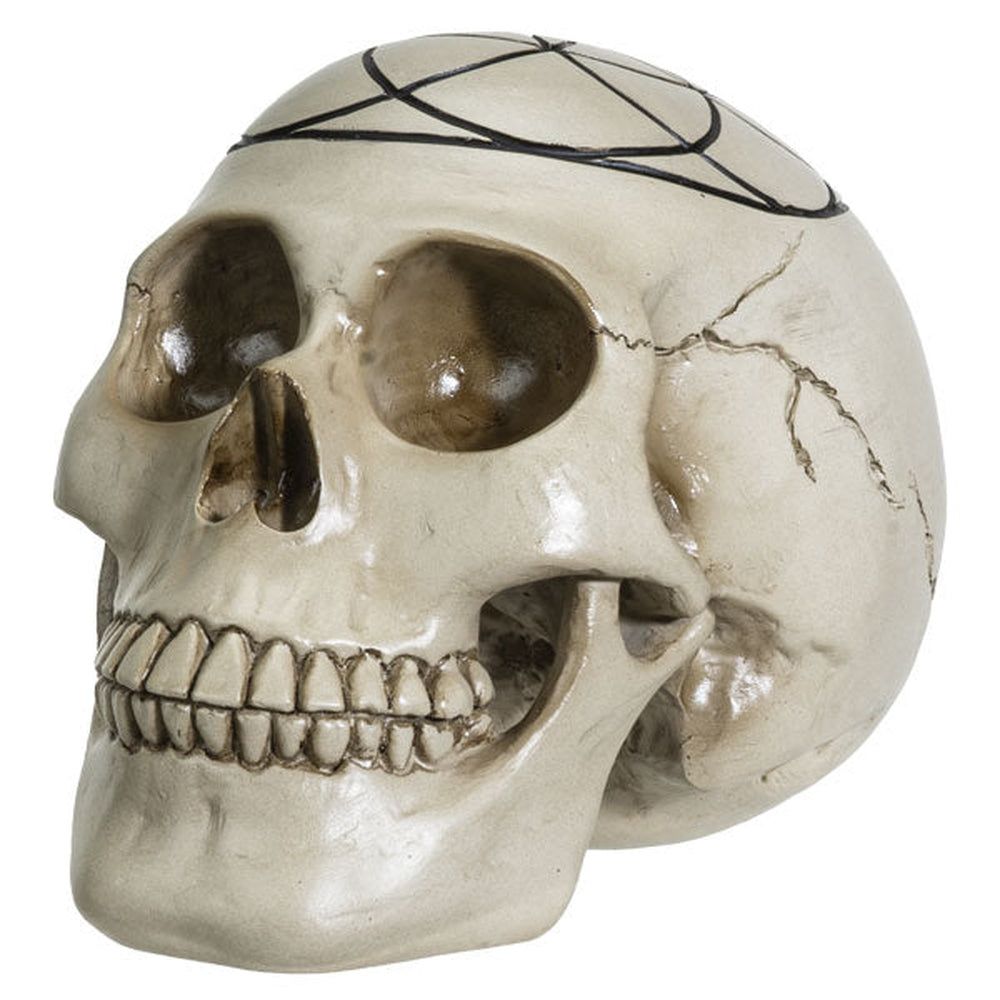 6.25&quot; Sacred Geometry Skull - Seed of Life, SKU PG-14126, UPC 700317072591