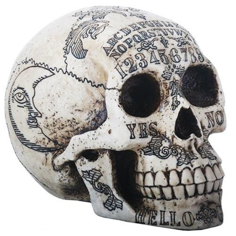 8.5&quot; Resin Ouija Skull - Bone White, SKU PG-Y8531, UPC 700317028895