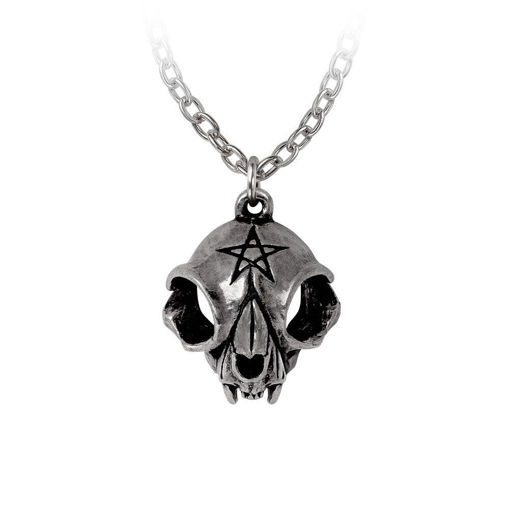 My Forever Friend Pendant, SKU AL-P938, UPC 700317248507