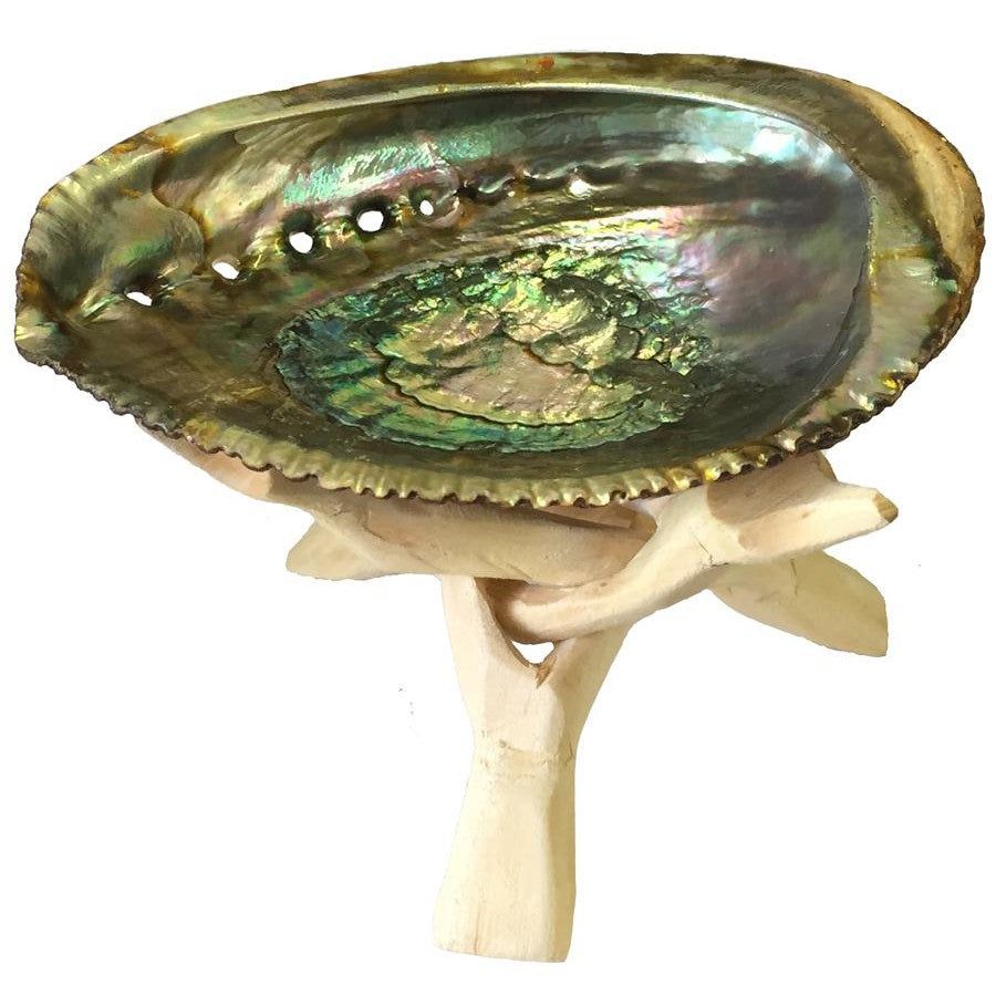 5-6&quot; Abalone Shell with Natural Wooden Tripod, SKU N06-sage-N-STR, UPC 700317315179