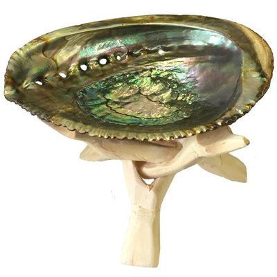 5-6&quot; Abalone Shell with Natural Wooden Tripod, SKU N06-sage-N-STR, UPC 700317315179