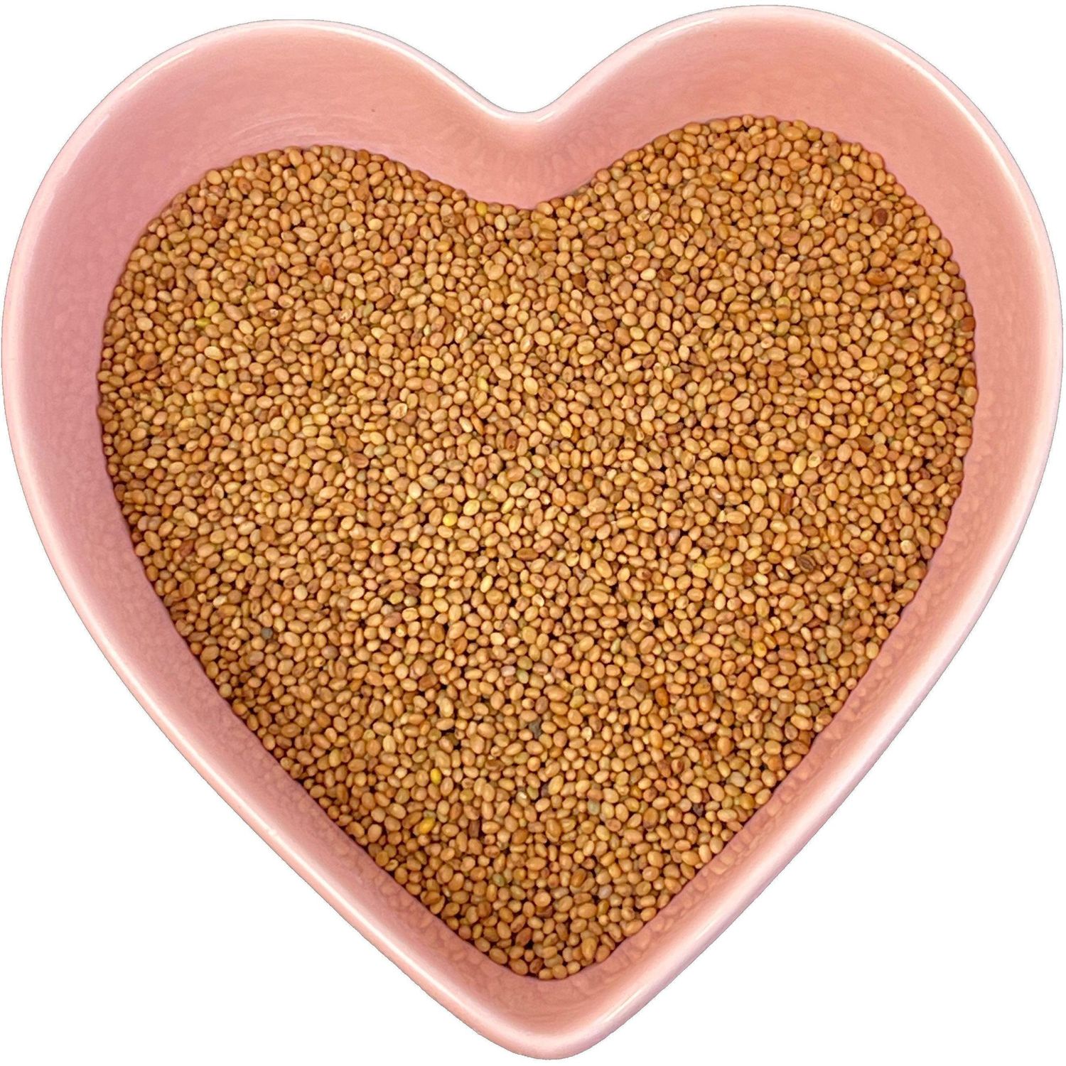 Red Clover Seed Whole Cut 1 oz (Trifolium Pratense), SKU Herb-77, UPC 6016010076076
