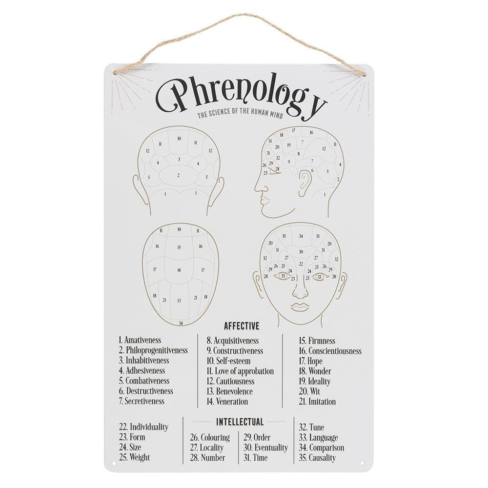 11.8&quot; Phrenology Map Science of the Human Mind Wall Decor, SKU PG-14186, UPC