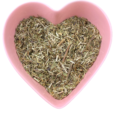 Scullcap Herb Cut 1 oz (Scutelateriflora Lateriflora)