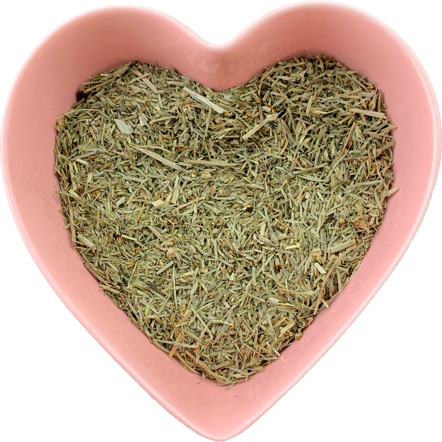 Horsetail Herb Cut 1 oz (Equisetum arvense)