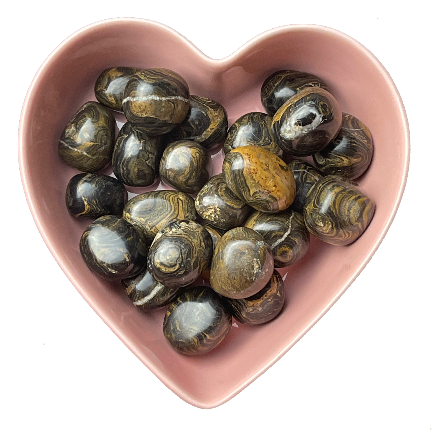 Stromatolite Tumbled Stone Natural Gemstone - One Stone