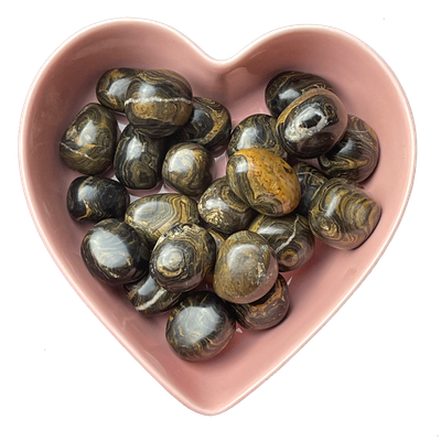 Stromatolite Tumbled Stone Natural Gemstone - One Stone