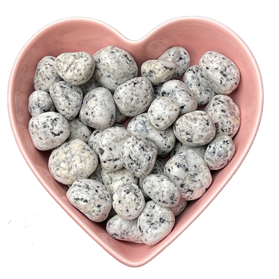 Dalmatian Tumbled Stone Natural Gemstone - One Stone