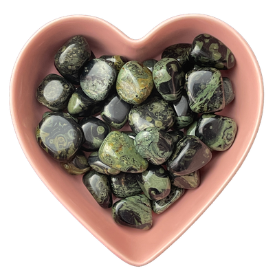 Kambaba Jasper Tumbled Stone Natural Gemstone - One Stone