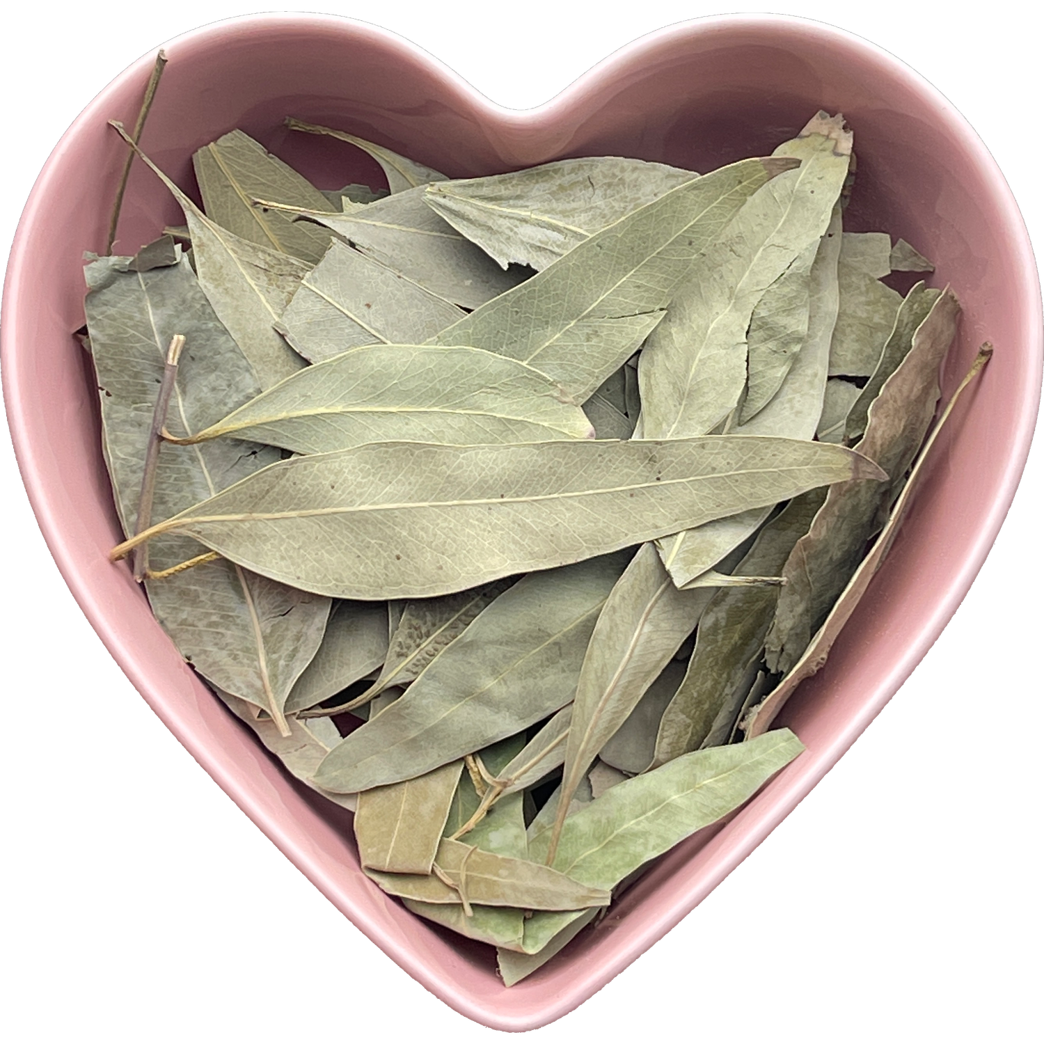 Eucalyptus Leaf Whole 1 oz (Eucalyptus Globulus)
