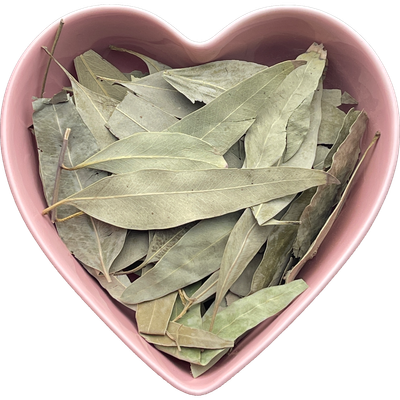 Eucalyptus Leaf Whole 1 oz (Eucalyptus Globulus)