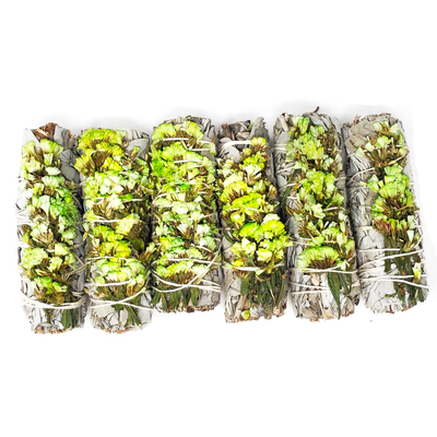 4&quot; Green Sinuata &amp; White Sage Smudge Stick