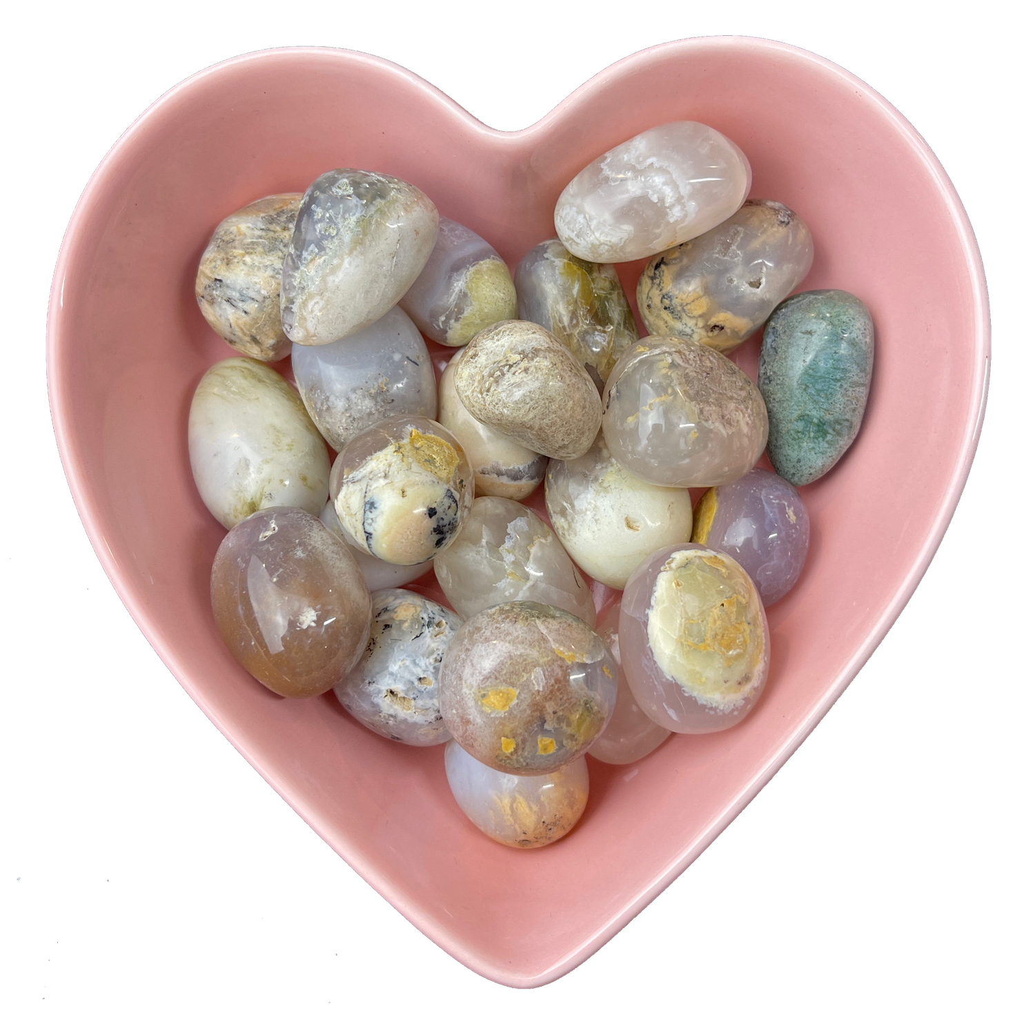 Moss Agate with Petrified Wood Tumbled Stone Natural Gemstone - One Stone