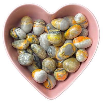 Bumble Bee Jasper Tumbled Stone Natural Gemstone - One Stone