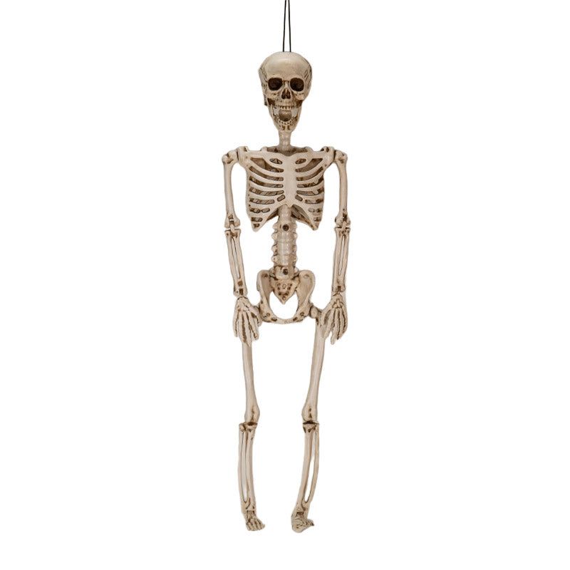 36&quot; Hanging Skeleton