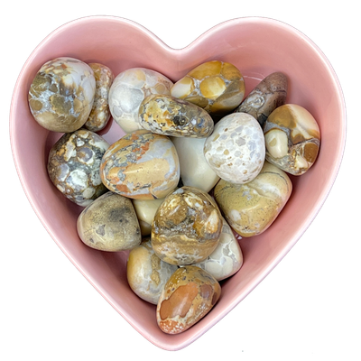 Conglomerate Jasper Tumbled Stone Natural Gemstone - One Stone