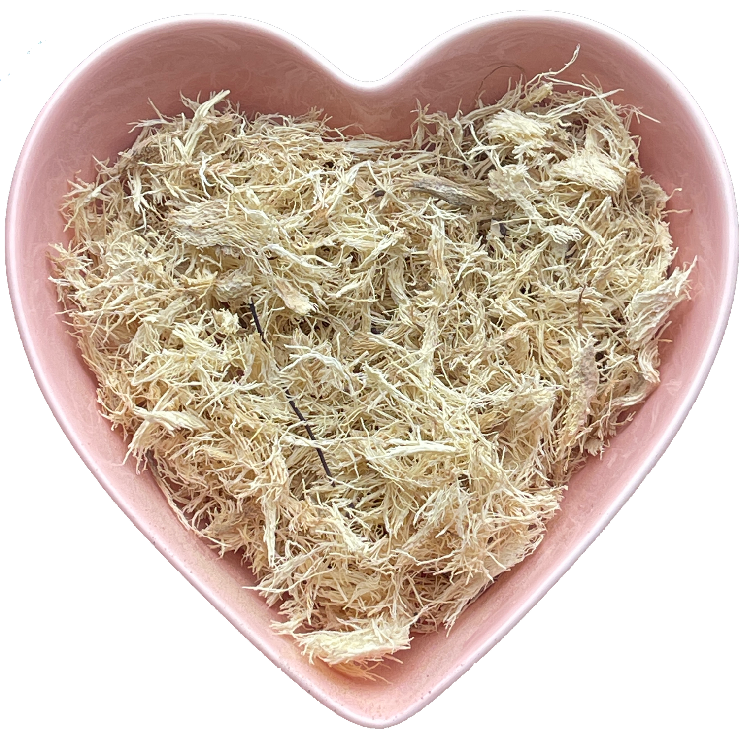 Yucca Root Cut 1 oz (Yucca Schidigera)