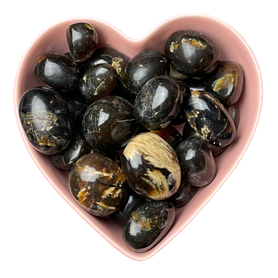 Zebra Amber Tumbled Stone Natural Gemstone - One Stone